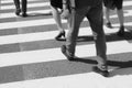 Unidentified people legs crossing street Royalty Free Stock Photo