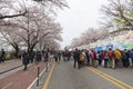 Unidentified people walking in Yeouido Spring Flower Festival