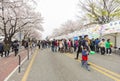 Unidentified people walking in Yeouido Spring Flower Festival