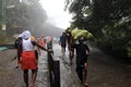 Pilgrims walk through the forest to Sabarimala temple