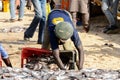 Unidentified Senegalese man collects fish on the coast of the A