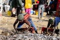 Unidentified Senegalese man collects fish on the coast of the A