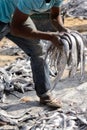 Unidentified Senegalese man collects fish on the coast of the A