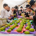 Unidentified shoppers examine citrons, the centerpiece fruit of the Four Species of the Sukkot Festival Royalty Free Stock Photo