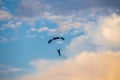Unidentified skydiver, parachutist on blue sky Royalty Free Stock Photo