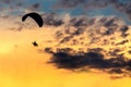 Unidentified skydiver, parachutist on sky Royalty Free Stock Photo