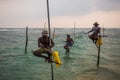 Stilt Fishermen Sri Lanka Traditional Fishing