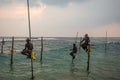 Stilt Fishermen Sri Lanka Traditional Fishing