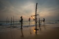 Stilt Fishermen Sri Lanka Traditional Fishing