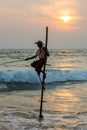 Stilt Fisherman Sri Lanka Traditional Fishing