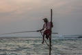 Stilt Fisherman Sri Lanka Traditional Fishing