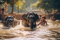 Unidentified Thai people bathing with elephants in the river in Kanchanaburi, Thailand, Elephants bathe in the river, Chiang Mai,