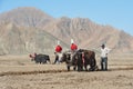 Unidentified Tibetan farmers work rice field