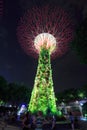 Unidentified tourist visited light of gardens by the bay at nigh Royalty Free Stock Photo