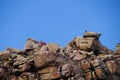 Unidentified tourists visit the top at Cape of Good Hope. Royalty Free Stock Photo