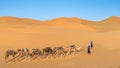 Unidentified two Berber men leading a camel caravan