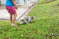 Unidentified woman with her pet dog. Dog is shitting on paper in public grass park