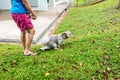 Unidentified woman with her pet dog. Dog is shitting on paper in public grass park