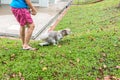 Unidentified woman with her pet dog. Dog is shitting on paper in public grass park