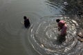 Woman takes holy dip in the Adi Ganga river near Kalighat temple