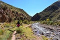 Unidentified woman walking in the Andes of Bolivia