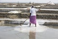 Unidentified woman workers picking up, collecting the salt, in big salt fields, manual labour, organic agriculture, very hard job