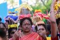 Women devotees carry scared pots in their heads and participates in the Thaipusam festival