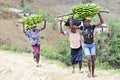 Unidentified Women Hauling Bananas