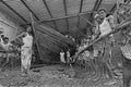 Unidentified Worker pulling Boat with Thick rope near Pen