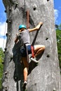 Girl wall climber ascends Royalty Free Stock Photo