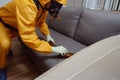 kill pest termite cockroach exterminator control insect pesticide uniform sofa. Generative AI. Royalty Free Stock Photo