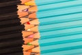 Uniformed Composition of a Set Wooden Pencils