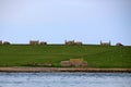 Island of Stroma, Scotland