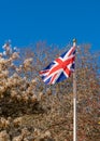 Union Jack Flag Royalty Free Stock Photo