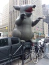 Union Rat, NYC, NY, USA