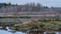 Union River Wetlands In Washington State