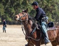 Union Scout Royalty Free Stock Photo