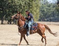 Union Scout Royalty Free Stock Photo