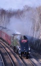 Union of South Africa preserved steam engine.