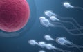 The union of sperm and an egg cell, 3d rendering Royalty Free Stock Photo