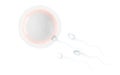 The union of sperm and an egg cell, 3d rendering Royalty Free Stock Photo