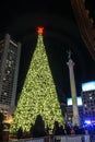 Union Square Christmas Tree by night, San Francisco Royalty Free Stock Photo