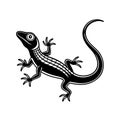 Unique Anole Illustration for Linocut Arts Fun Royalty Free Stock Photo
