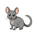 Unique Antechinus Illustration for Coloring Fun Royalty Free Stock Photo