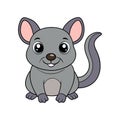 Unique Antechinus Illustration for Coloring Fun Royalty Free Stock Photo