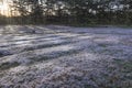 Unique background with bicycles concept, dew on pink grass at the dawn part 7