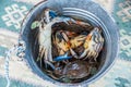 Unique blue crabs. Fishing on Dalyan river, Turkey