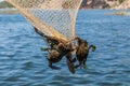 Unique blue crabs. Fishing on Dalyan river, Turkey