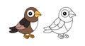 Unique Bobolink Illustration for Coloring Fun