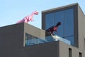 Unique Building in Milan with Colorful Dinosaurs - stuffed animals